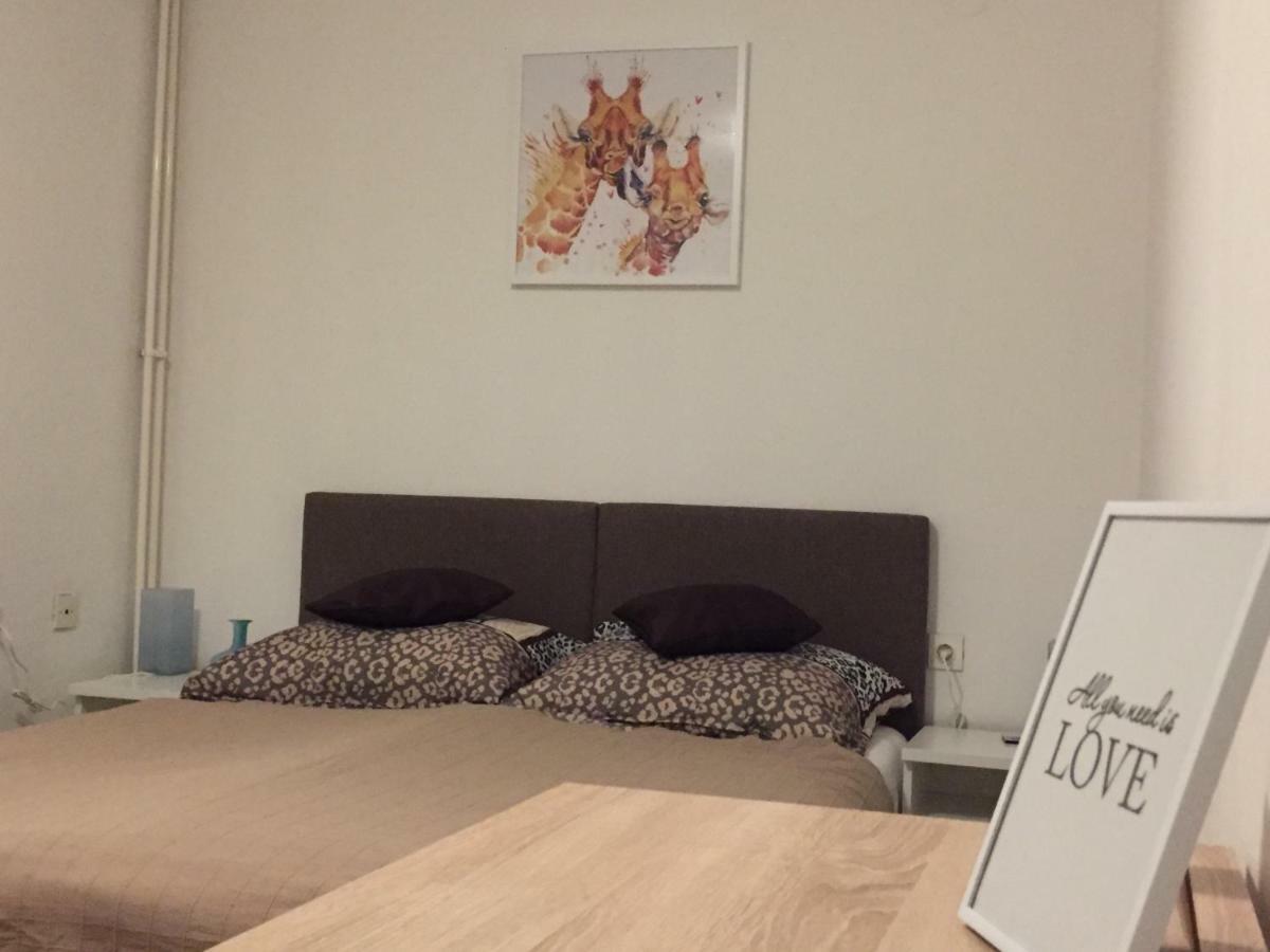 Apartment カルロヴァッツ エクステリア 写真